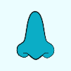 ENT-icon
