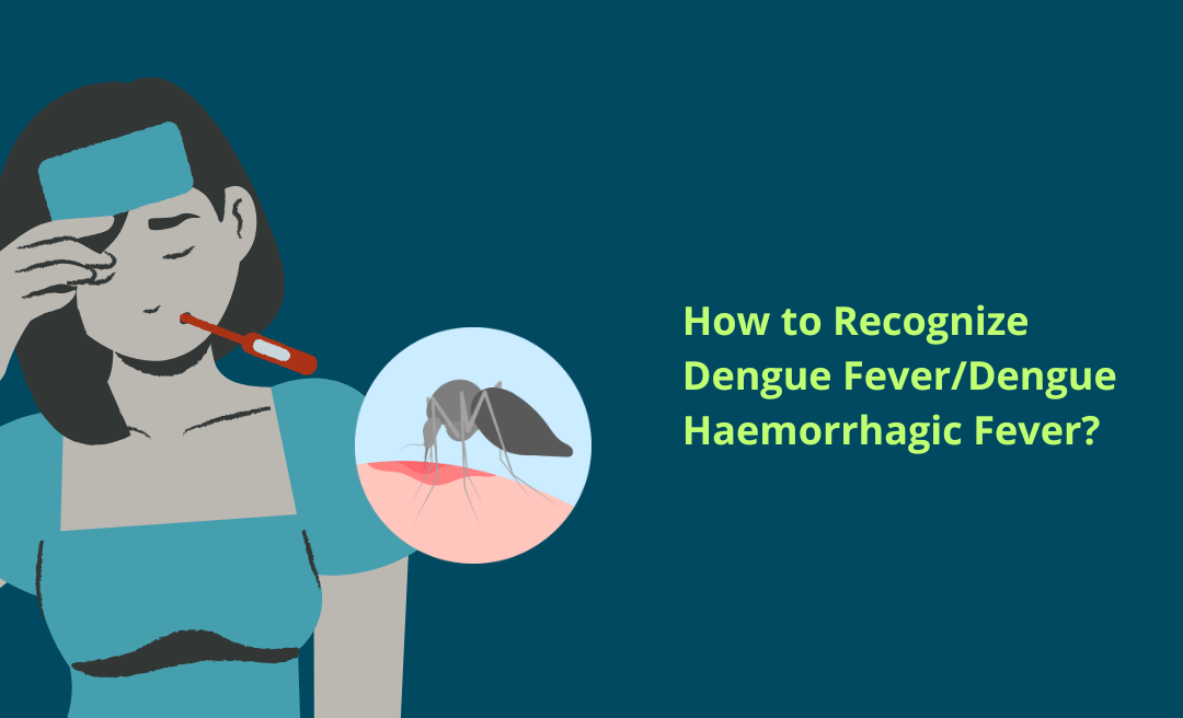 Dengue Fever Symptoms