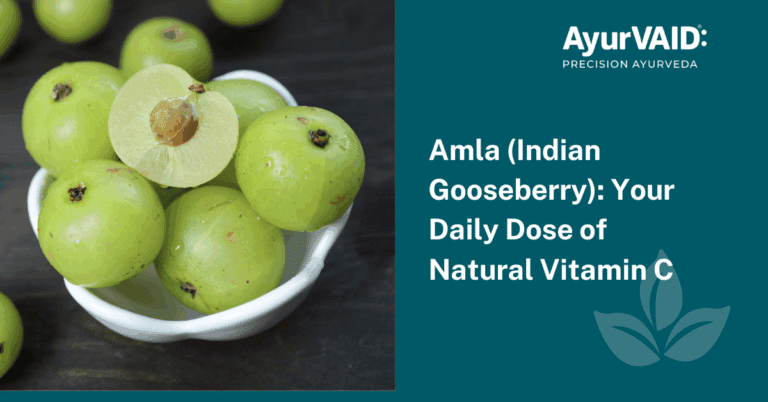 Blog Images part 2 (15)